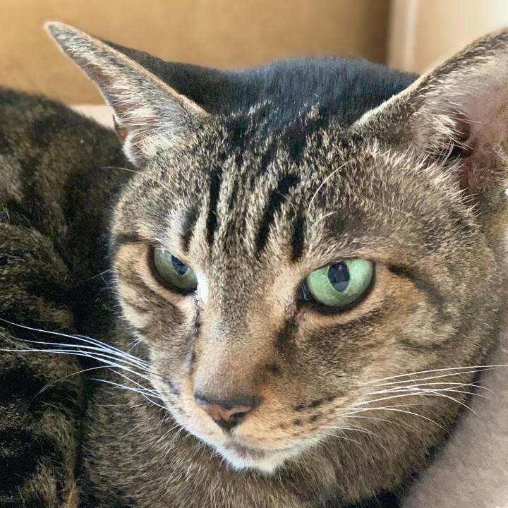 C0866d8f f462 4587 bb7f c30eff8b62b6 1552951649565