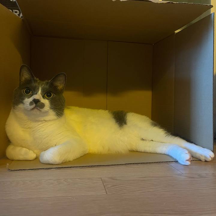 C08678d6 cf69 4361 aaa8 1a8b47288b4c 1753143661150