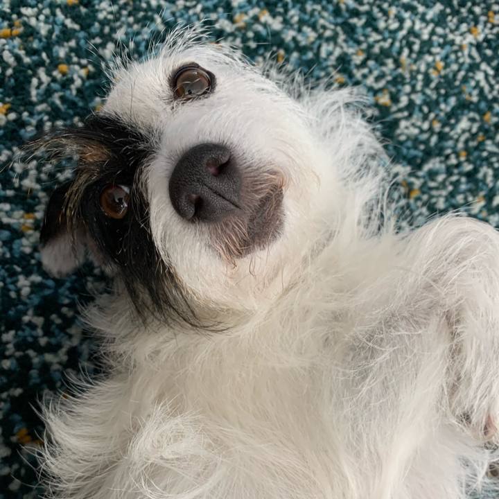 C086ae37 2842 4255 86b6 0bb0dd20fdc3 1628483880178