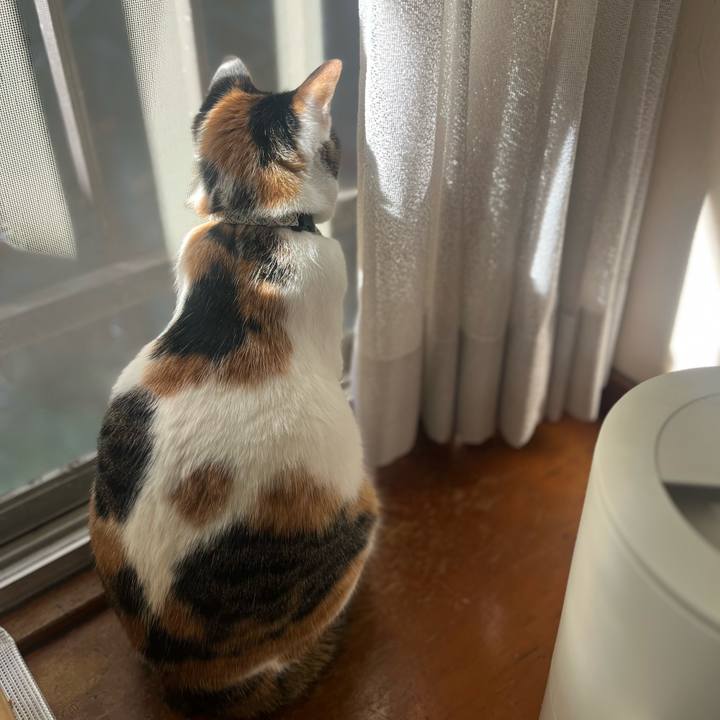 C086bc92 1e30 43df bc46 c8f09f1d8510 1769735767081