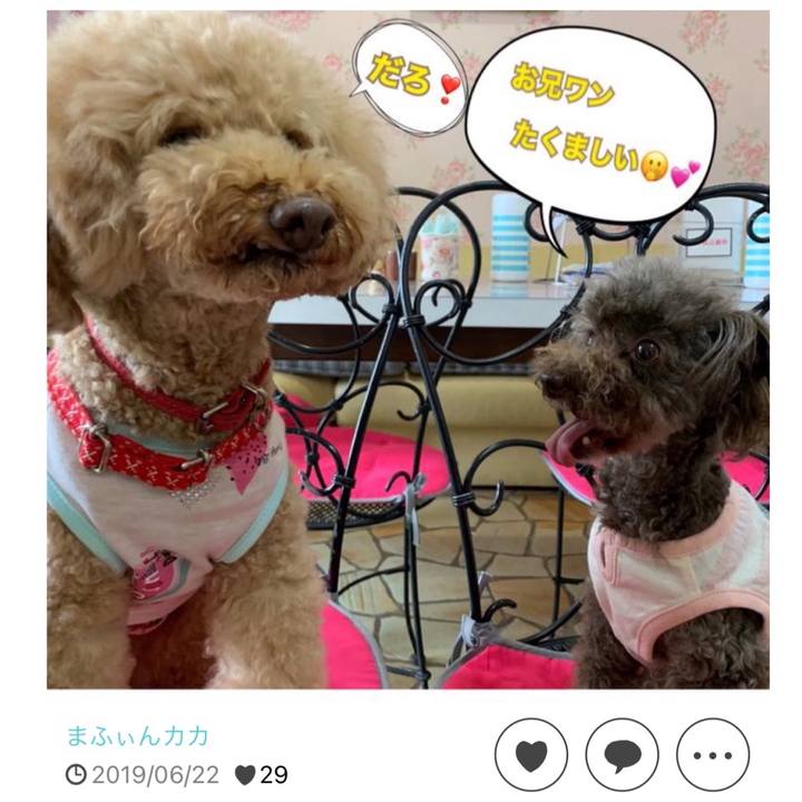 C086ea92 f75c 456c 980c 284b457bc516 1719315321280