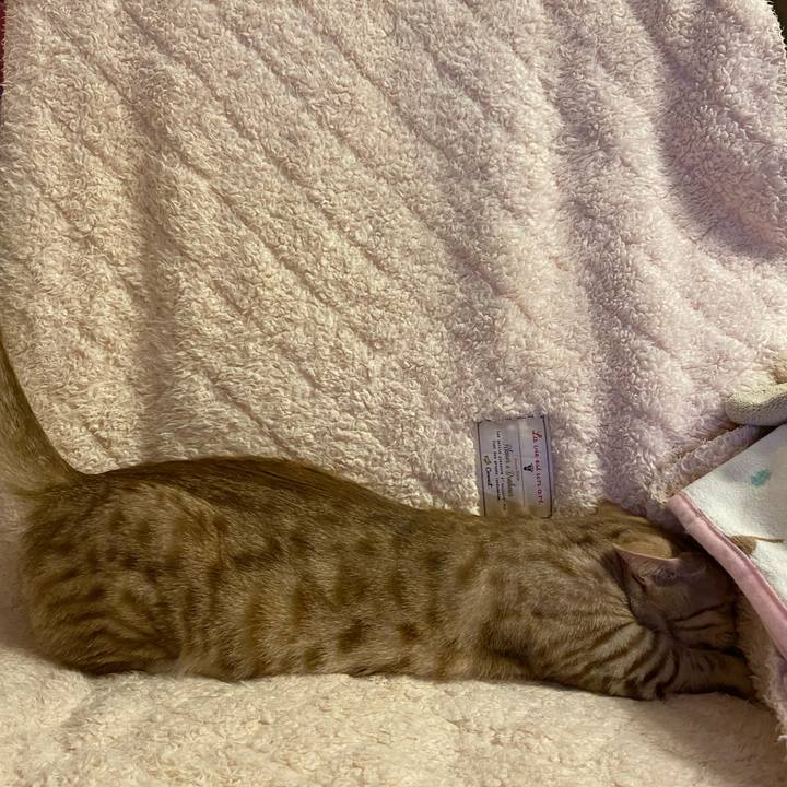 C08705d9 bb9e 478f ae54 ea22d998cecf 1641738599326