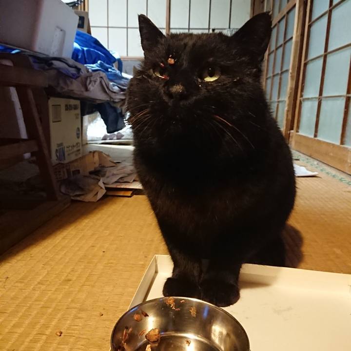 C0871833 f496 4fd2 9d94 b304a5182c56 1614763767924