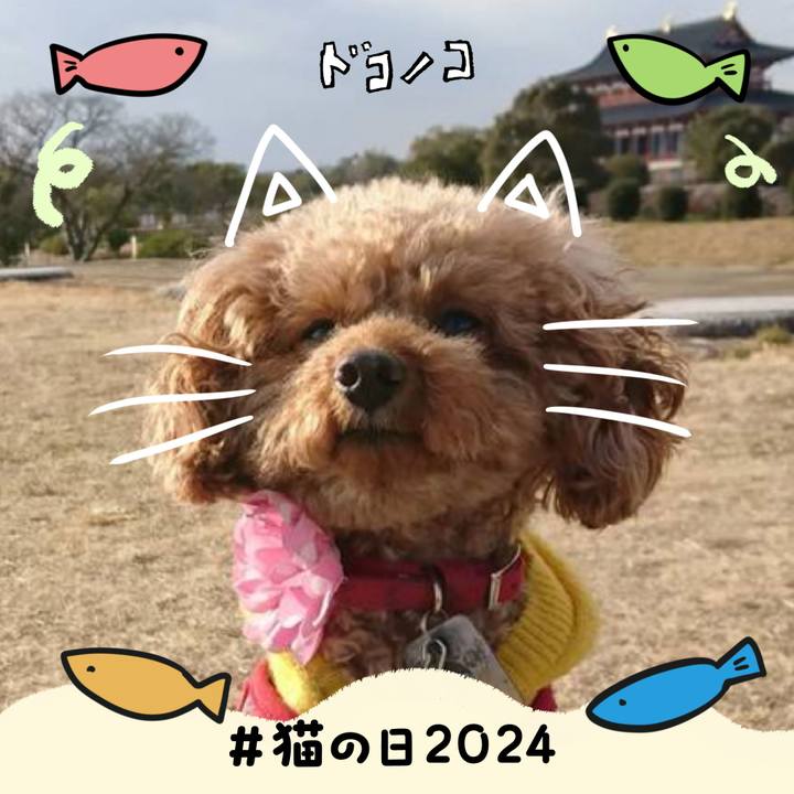 C0875449 448a 4079 b752 18ccb29c1684 1708555767813