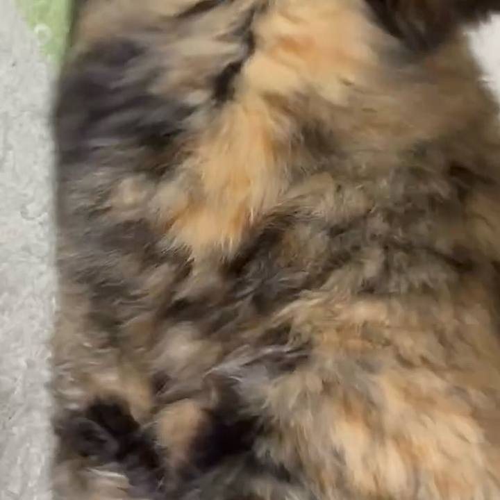 C0877bb0 95df 4c25 9560 ede239390d89 1761167536774