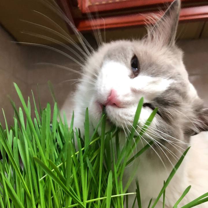 C0881137 041d 4c4e 810f 47ac5fda622e 1597110834361