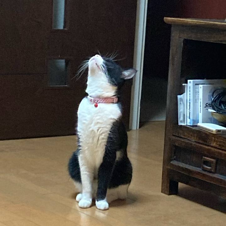 C0883cb5 7651 48d7 9323 919817c6e467 1662237758554