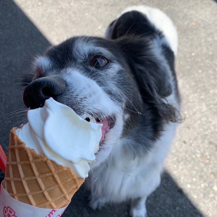 C088583a 83c2 4db3 98a0 1f31acac00c9 1618916556397