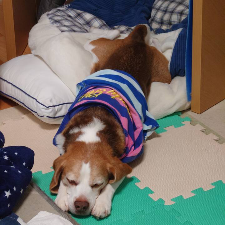 C0885d22 71ac 4cb3 a50c ce51c9866978 1754892547189