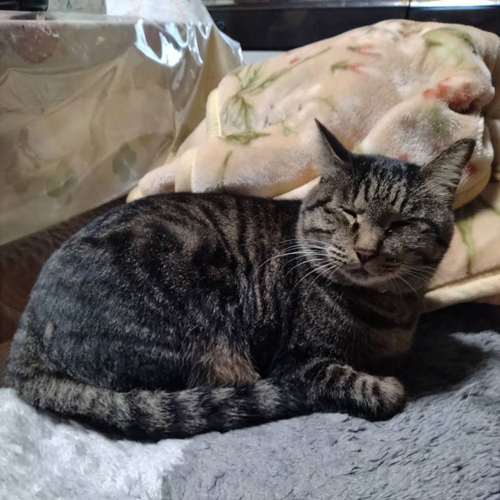 C088b140 e247 453d b5a4 f7a5ecb042e4 1666301203579