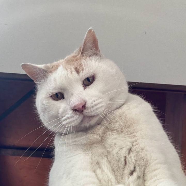 C088b761 9c00 41e3 a158 3c9400ff2e7f 1770986039187