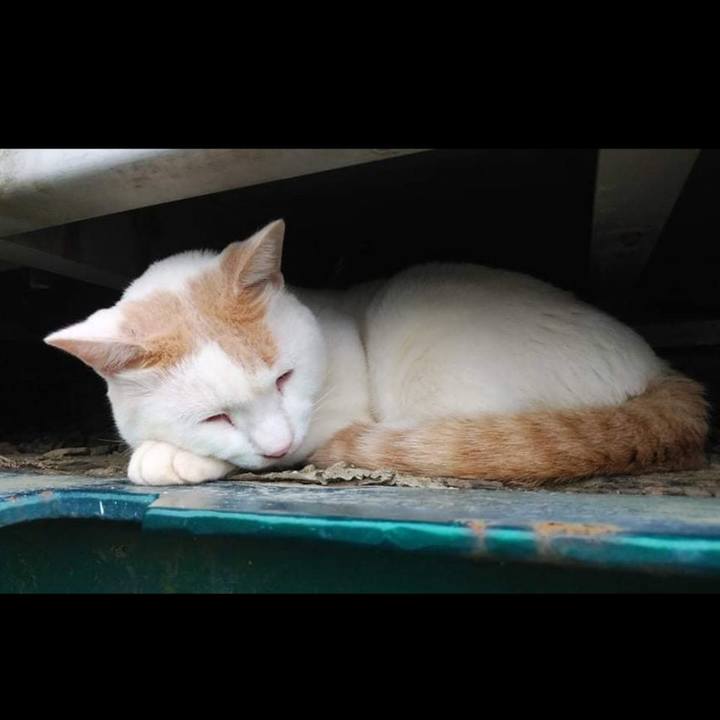 C088d3f0 9399 445f 90ec 982da4ef805f 1631091872406