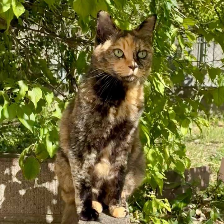 C088e8cc ff47 4721 8be8 37df79b39c5f 1753843267976