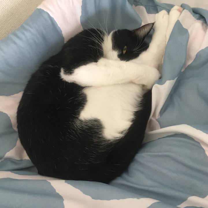 C088edb4 9a8e 4c96 bff5 5cc8fbdfa07f 1584242137781