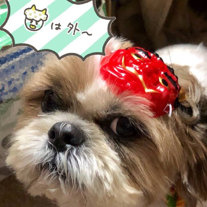 C0890809 f72a 4ba3 b6e2 622889fd2966 1549705344536