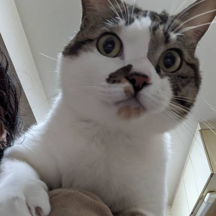 C0890e81 34ba 419d 88a0 8c3dd79344b4 1671678176290