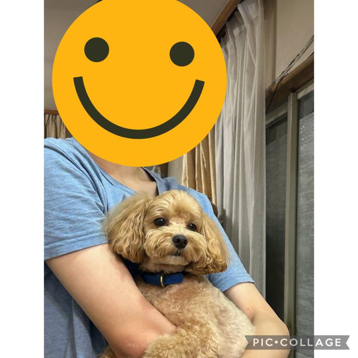 C0892170 475f 49e9 87e5 806f6f572645 1694990853840