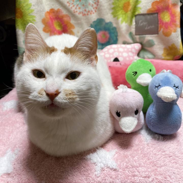 C08932bd c0f5 4e96 b49c 16e3cc2967e7 1650195657431