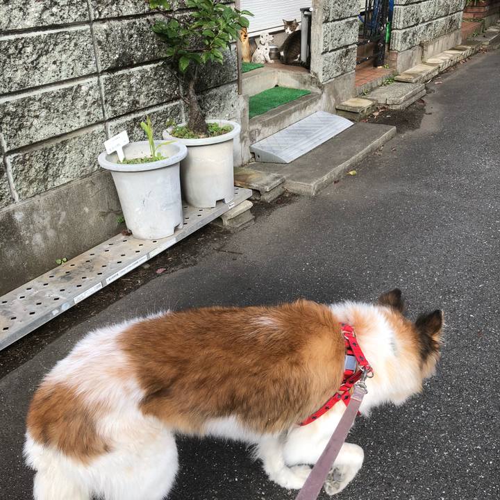 C089a74f ca41 4fb9 901f 11c4415387a6 1541901510237