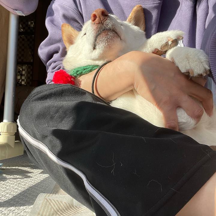 C089be12 6e80 4e7c 9f61 8e829cf26c2e 1639743587902