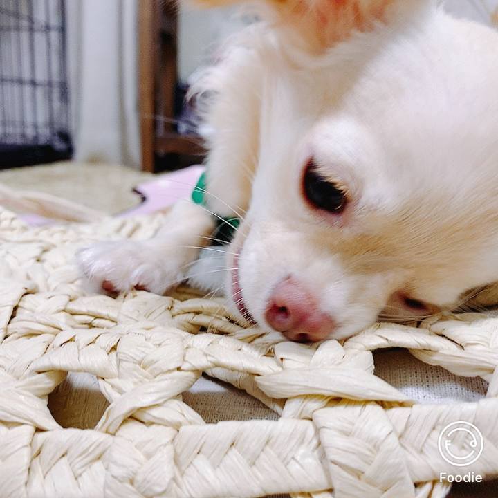 C089caf2 4781 4a3f a00a 6d699ca294e2 1599271484954