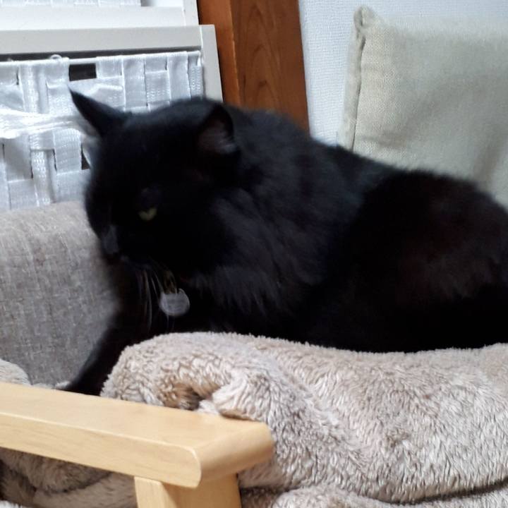 C089dc05 2382 4e6d a361 8df0c9b27362 1521806345605