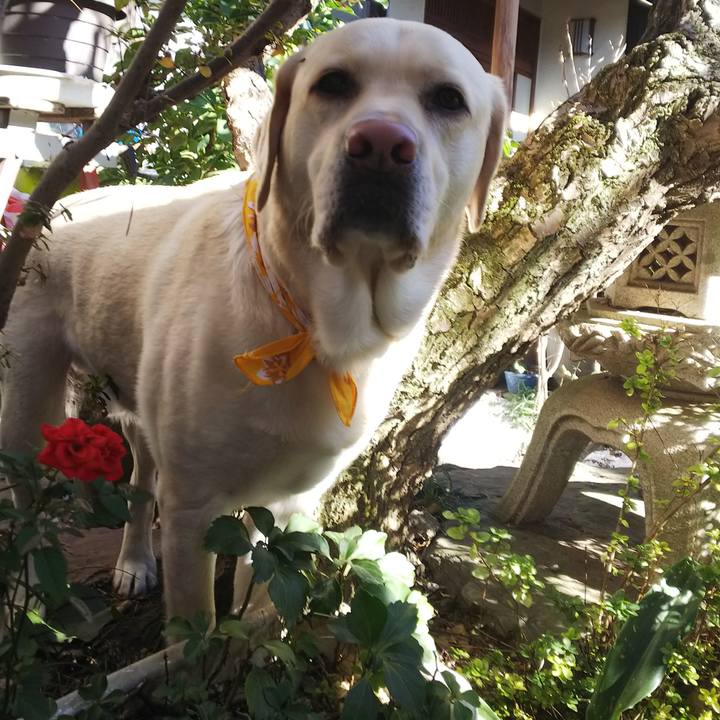 C08a0e03 199c 462b b941 ddc9ff697503 1548319251717