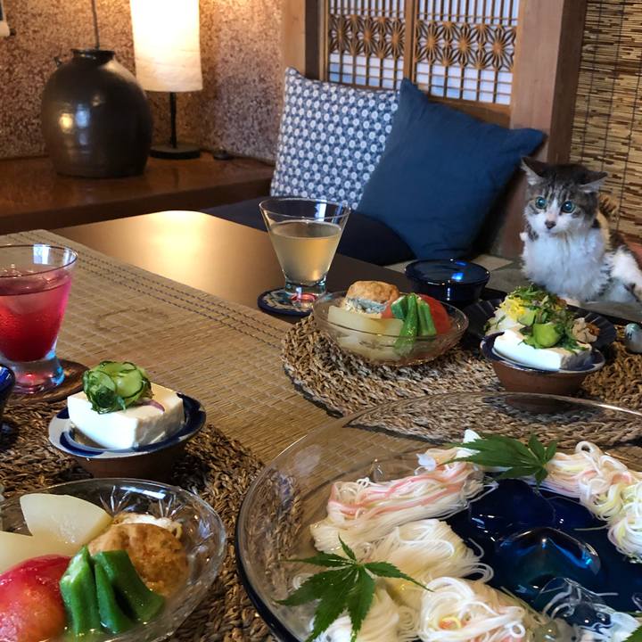 C08a4c4b ef71 450b a04e e675cddc63db 1564823039043