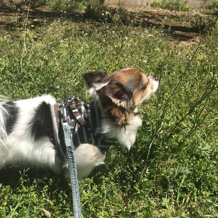 C08ad545 2f59 4170 bdf7 76d0d249ad01 1555508720302