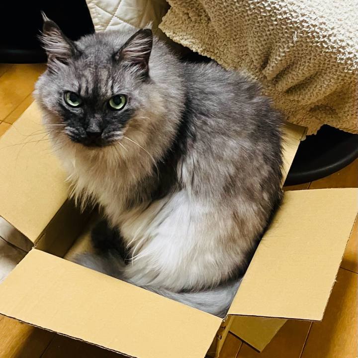 C08ad924 4bce 4edd ba86 c310b6800b58 1753407779970