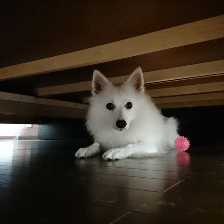 C08ad98e 8968 4eba bc7e e62ede357e21 1536852735589