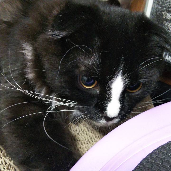 C08afa2e 96ac 4e14 a7aa e3afb6362783 1645100713509