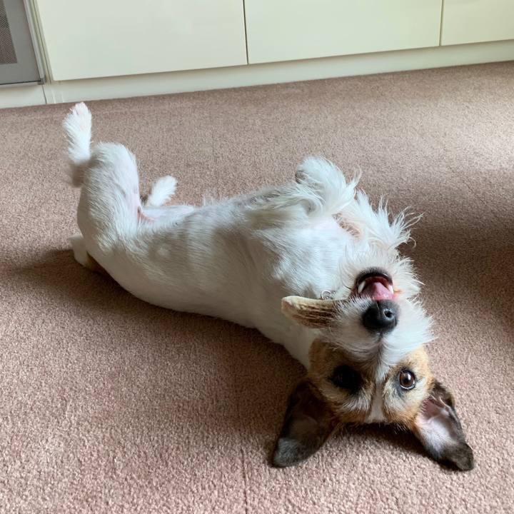 C08b0a33 1a4f 43a2 ab4b e41eda667cee 1586219444899