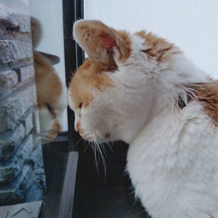 C08b3cf5 bfe1 48d4 b634 9a0eff0bef64 1590894399990