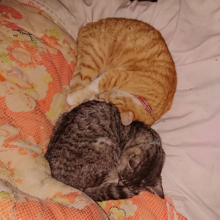 C08bf356 8858 4a98 8016 7a3254631bb6 1574609388189