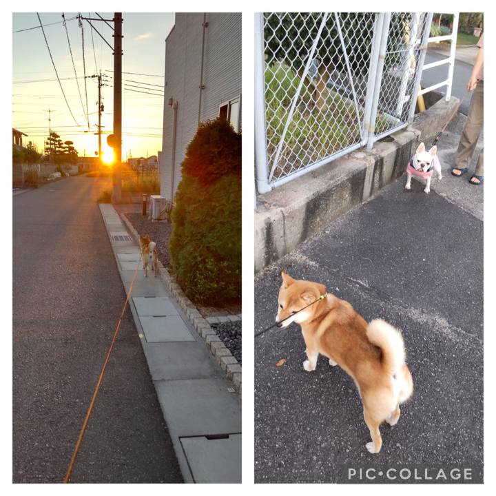 C08c9e77 1ec4 4b8c a8e5 6504c8d00d03 1695948492658