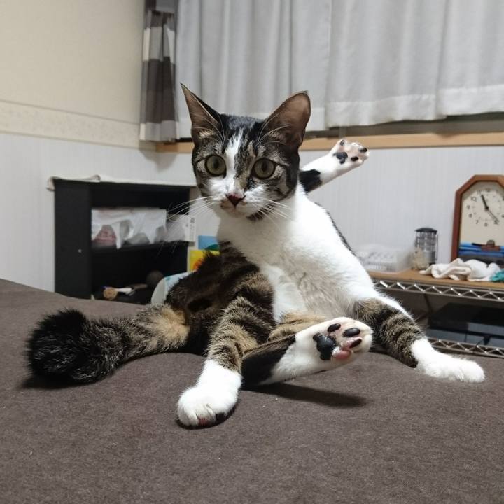 C08ce7b8 c20e 49d3 a383 cae309cdf90e 1511444630930