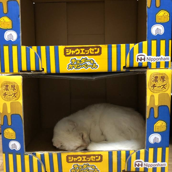 C08cfc84 0523 41f7 ace2 18bccc1898d3 1592037922874