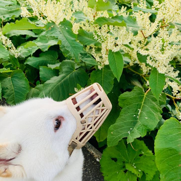 C08d311d 9316 4881 8626 a29b09808c7d 1598302798904