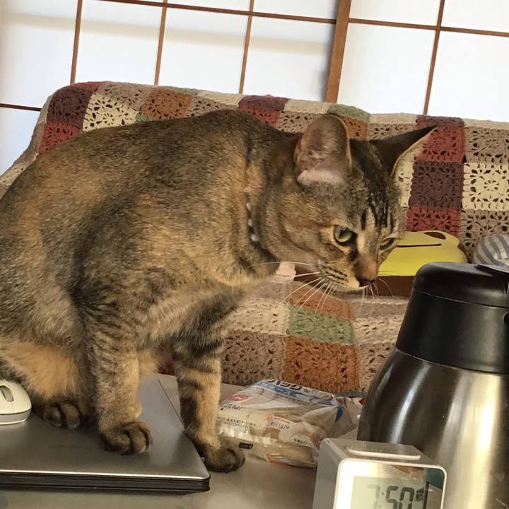 C08d3b70 efaa 495d a9ed 0e6888967ddc 1581383267527