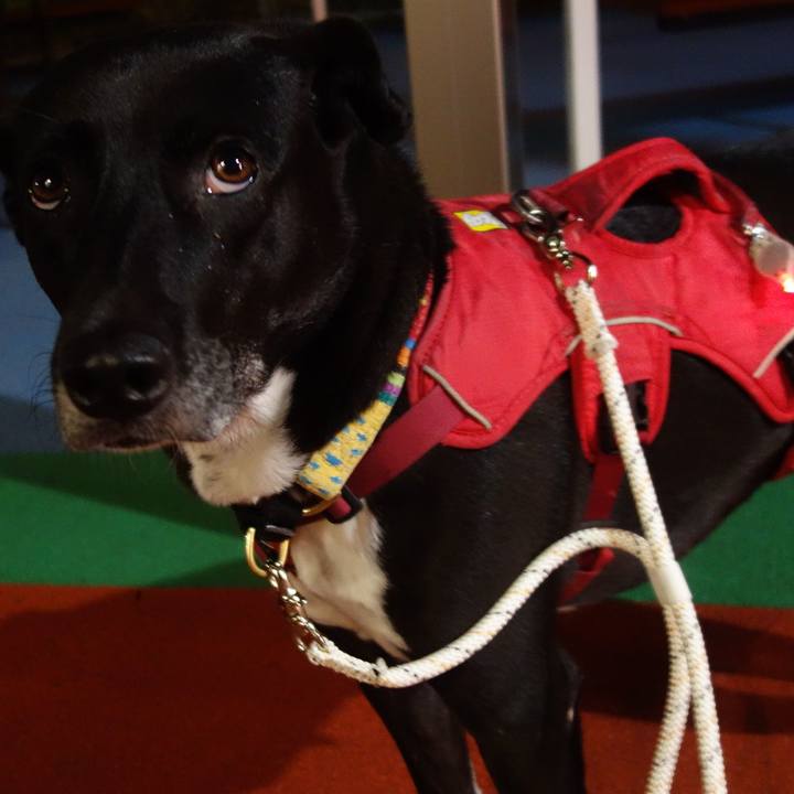 C08d92b2 3cd6 446e 924c 003970bf2ad2 1634900949606