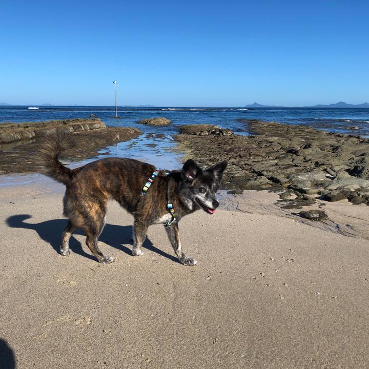 C08db859 e56f 4ed4 bf6c 4bab481ac9ac 1691289767317