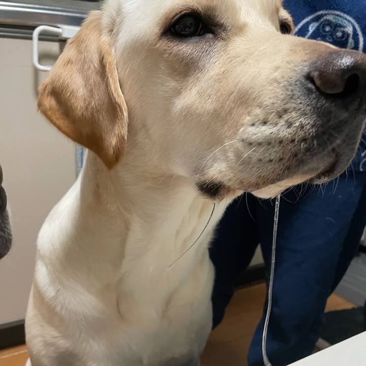 C08ddb39 c479 4405 83b9 812b79477582 1644236640398