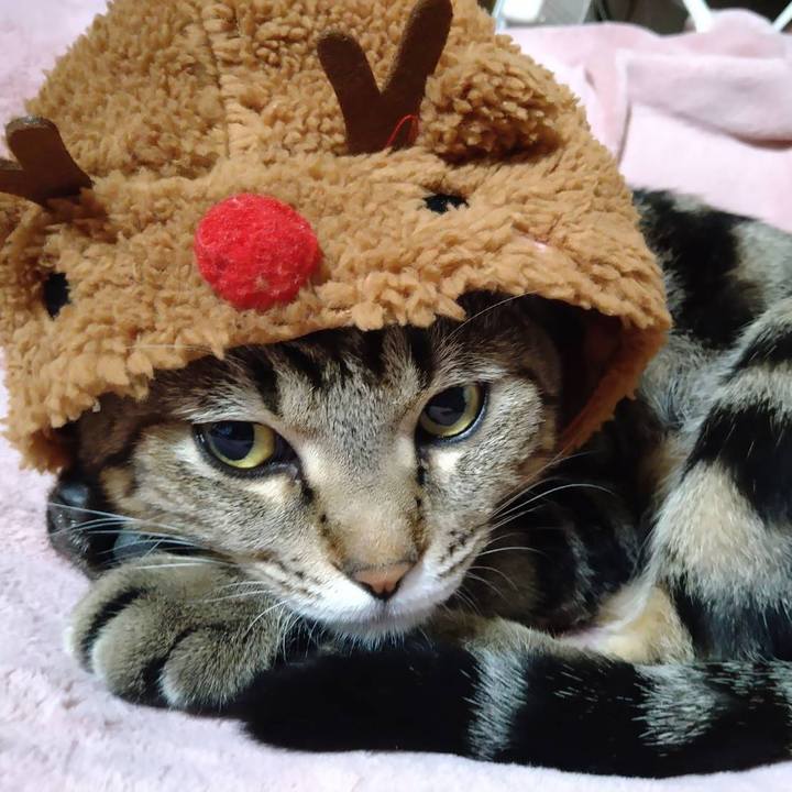 C08dee79 489e 4913 b899 5d990849c788 1703393717689