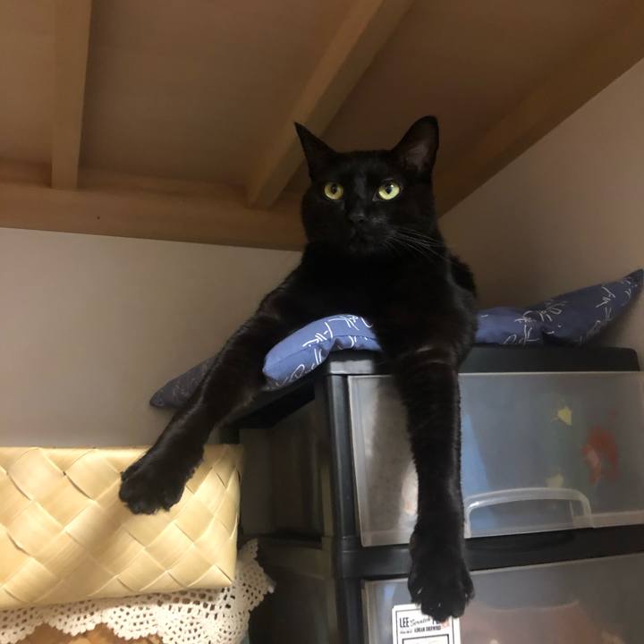 C08e6529 a449 49e5 8967 479b1126f93f 1578493263177