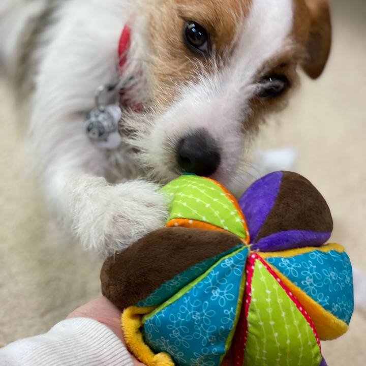 C08e6a08 6c6a 404d a000 8e848a0f344e 1643425044487