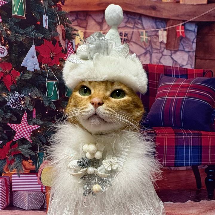 C08e9a19 196a 4d03 b87e c2d8dde97272 1763102435365