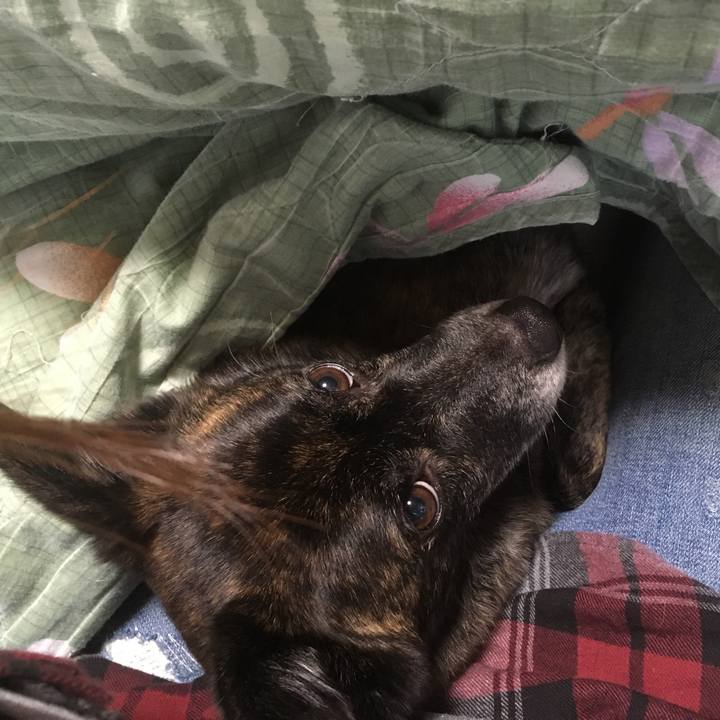 C08eb6e9 4e8a 4d87 a0d6 e63c3c29bc3e 1544540441743