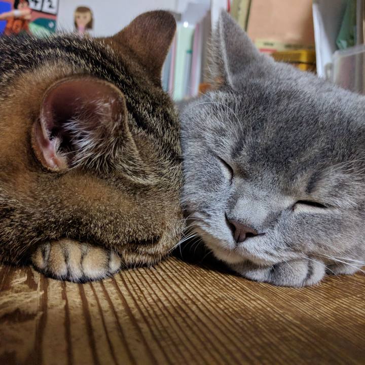 C08ec4ba ccb3 47d3 a065 7447262831d3 1507806241923