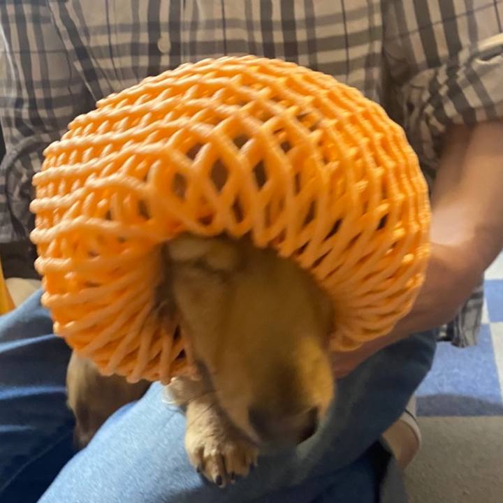 C08ec7bd a675 4079 9ed5 4bab79e925bf 1620078471970